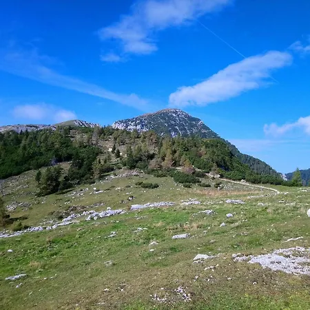 Апартаменты Gerti